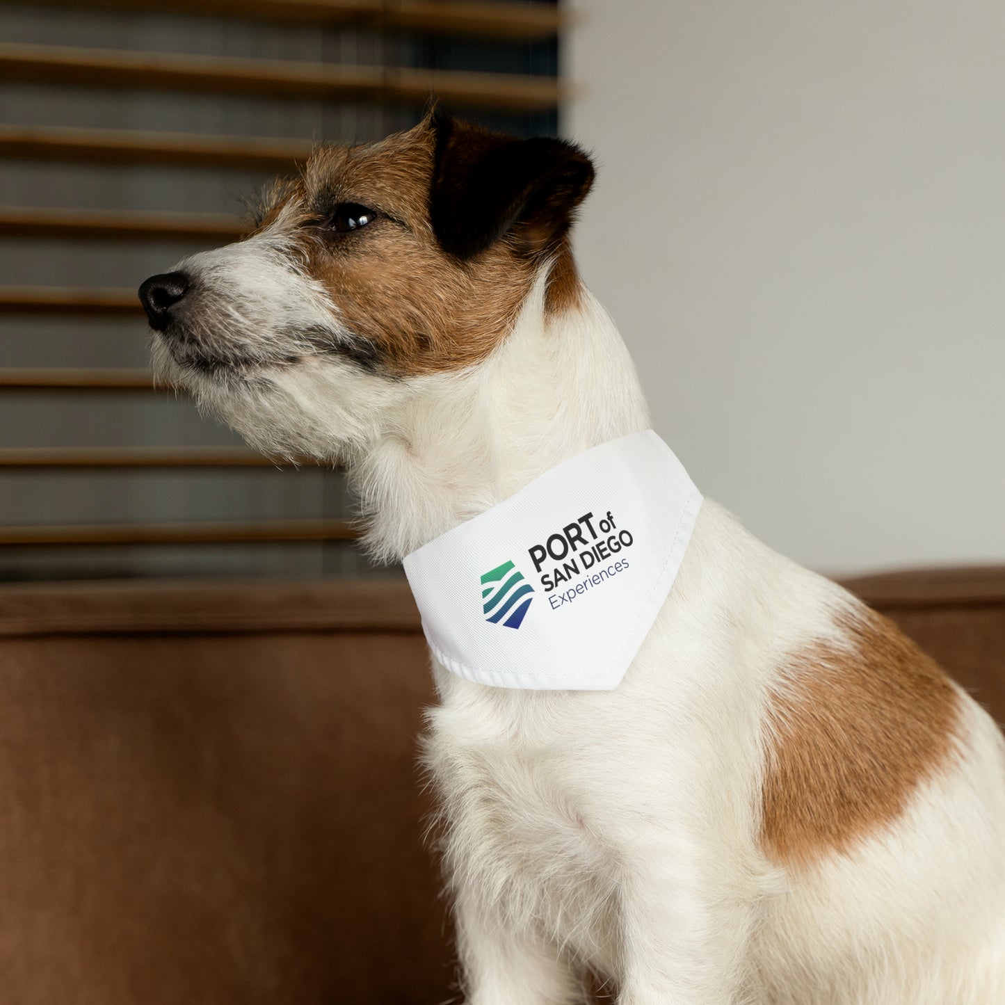 Pet Bandana Collar