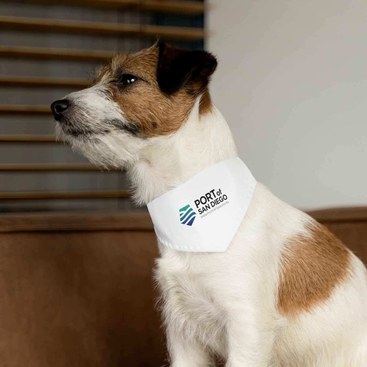 Pet Bandana Collar