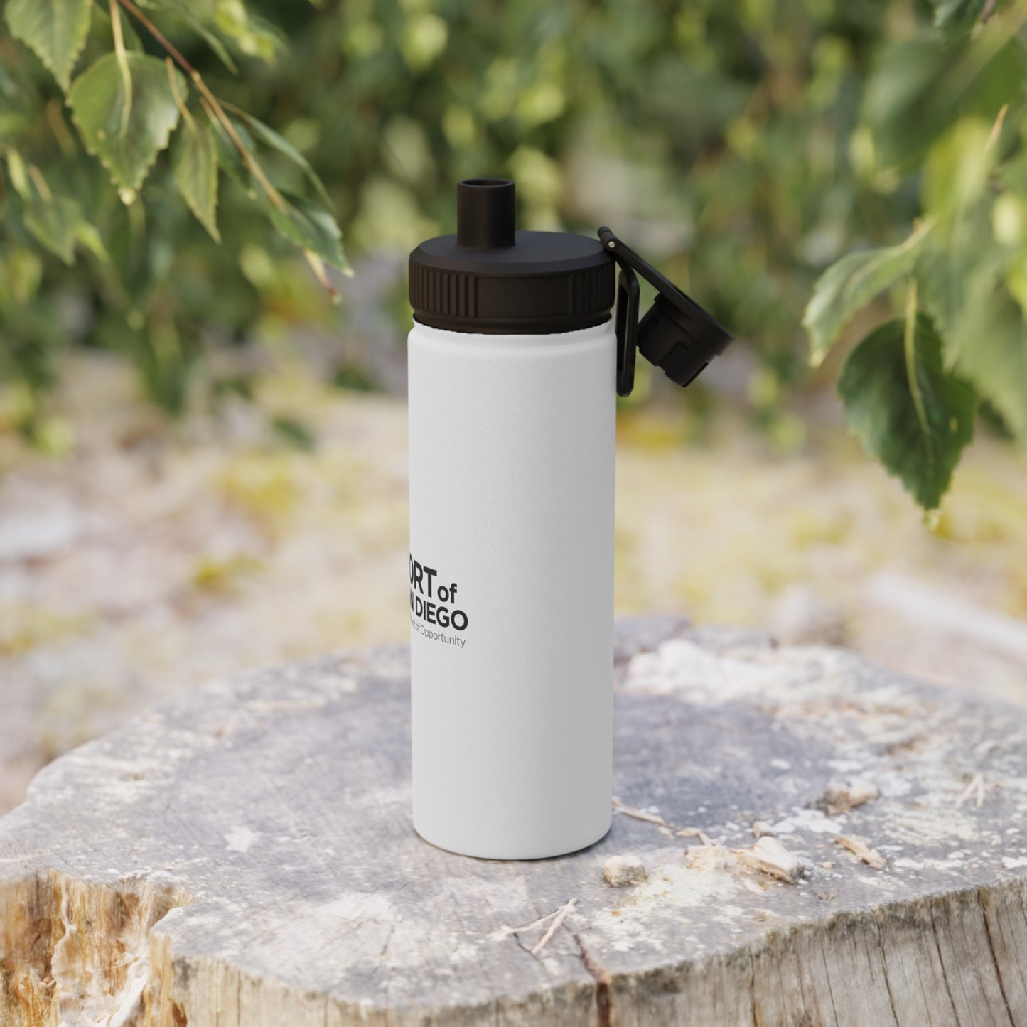 Stainless Steel Water Bottle, Sports Lid