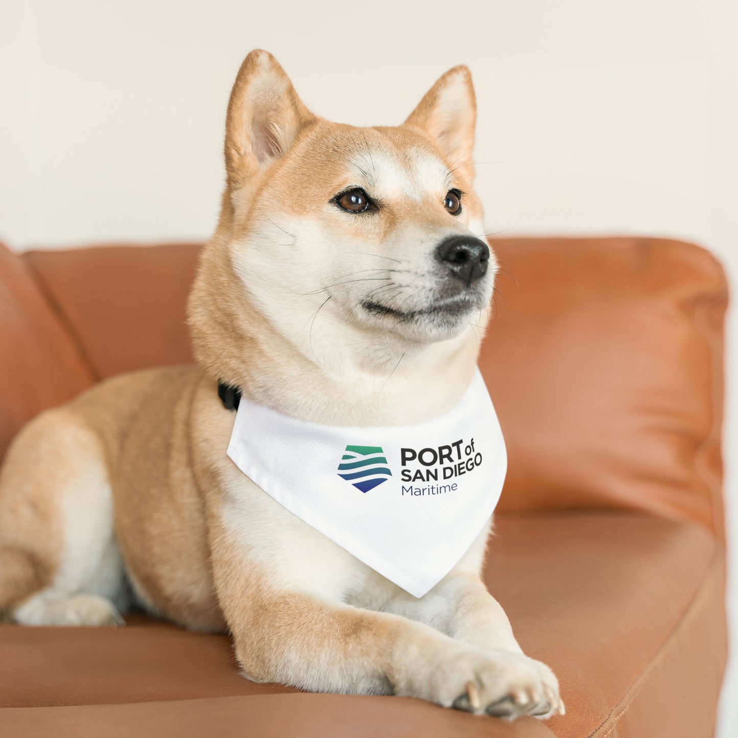 Pet Bandana Collar