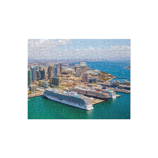 Puzzle 1: San Diego Bay 1