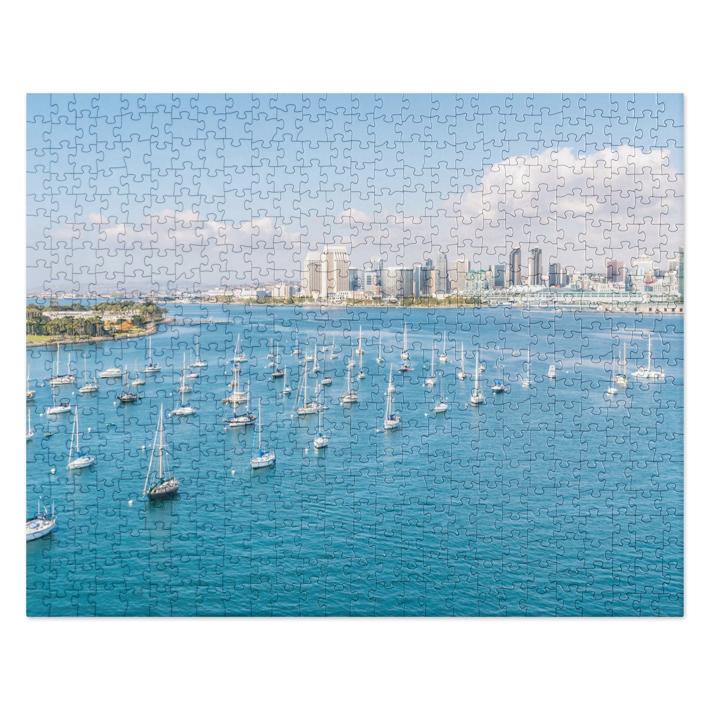 Puzzle 7: San Diego Bay 2