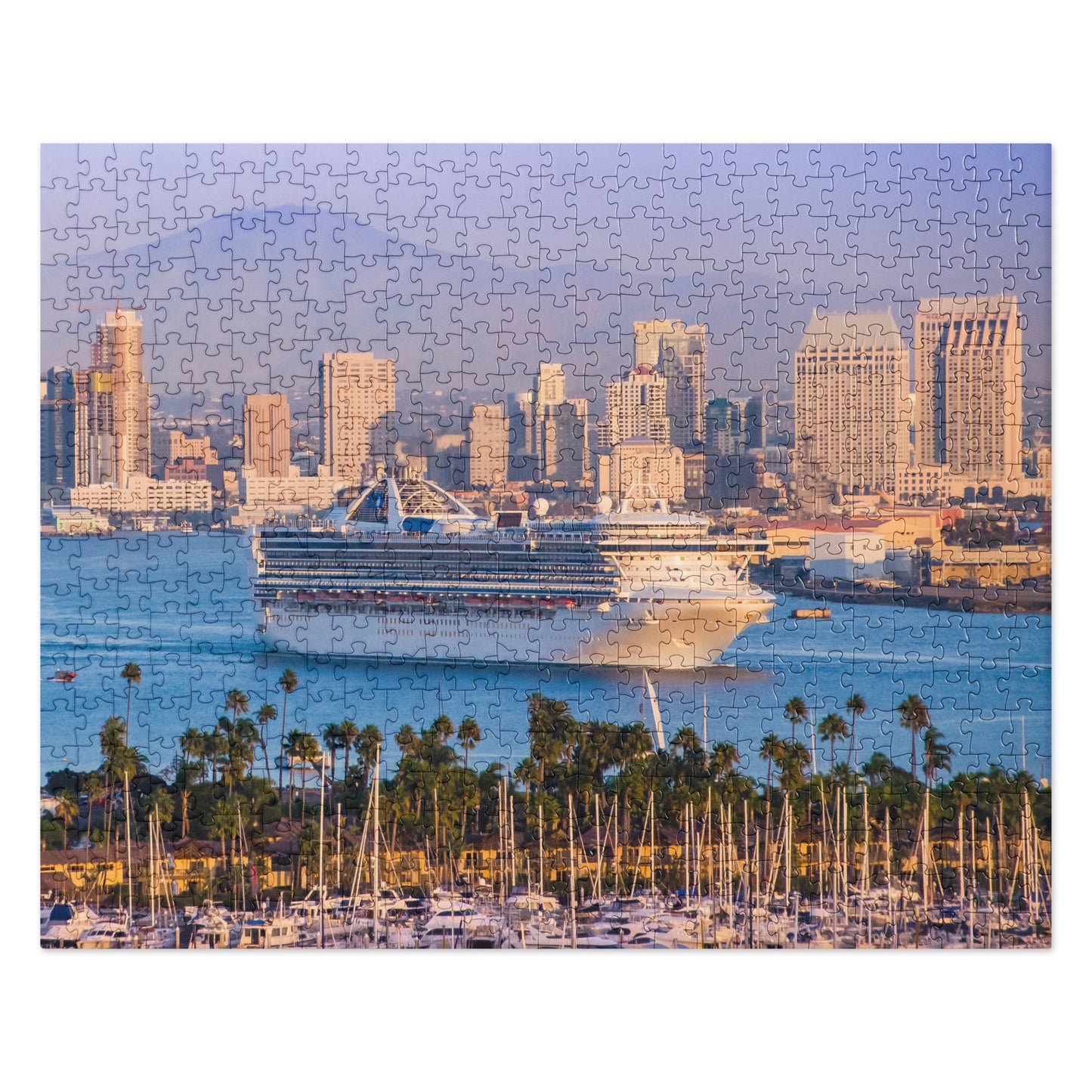 Puzzle 8: Cruise Ship